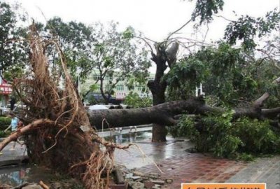 ​台风来了怎么办,台风来临时怎么办?教案