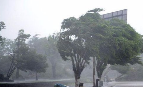 台风来了怎么办,台风来临时怎么办?教案图6