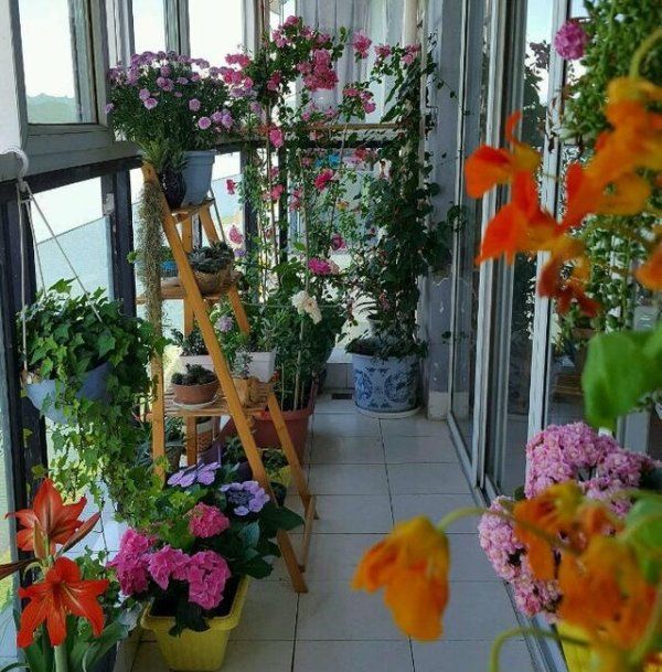 台风来了怎么办,台风来临时怎么办?教案图2