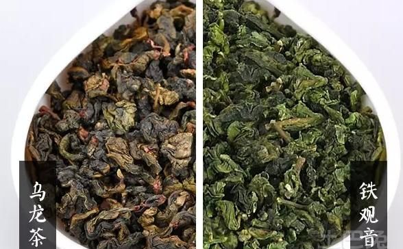 乌龙茶和铁观音的功效区别