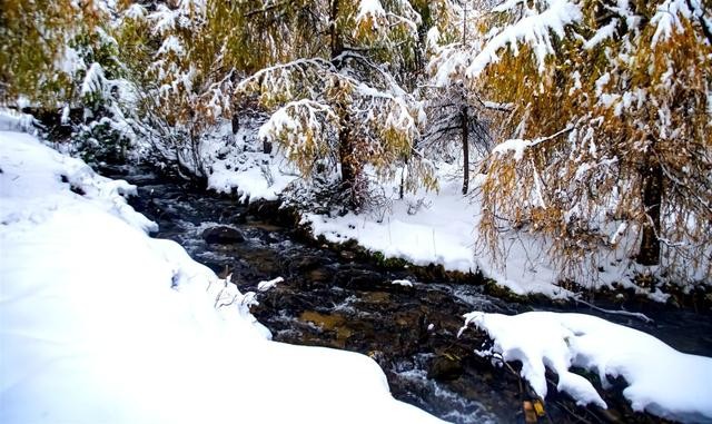 关于瑞雪兆丰年的诗句优美句子(春雪飞舞兆祥瑞)(5)