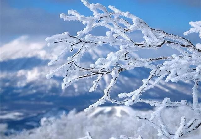 关于瑞雪兆丰年的诗句优美句子(春雪飞舞兆祥瑞)(2)