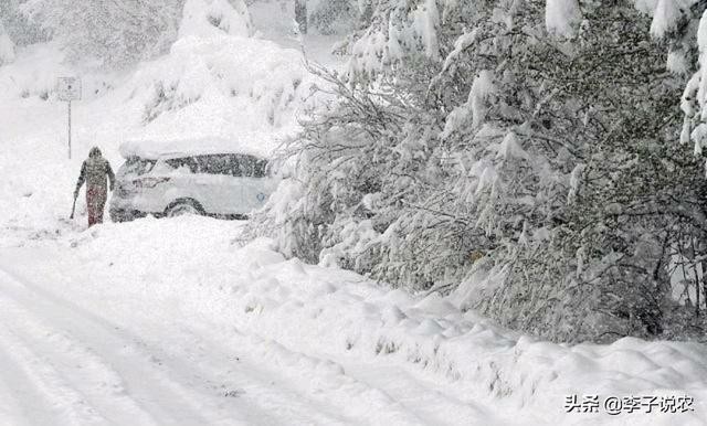 关于瑞雪兆丰年的诗句优美句子(春雪飞舞兆祥瑞)(7)