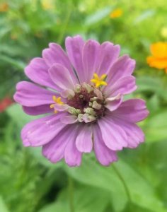 ​我把人生看透了(利益面前,人都是贪婪的)