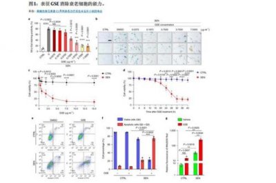 ​葡萄籽的功效与作用(葡萄籽的功效与作用对女性)
