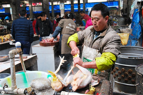杀鸡的正确方法(杀鸡位置一刀杀死技巧)