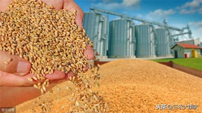 ​用什么方法可以长期保存小麦(麦子如何长期保存)