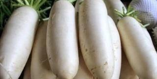 白萝卜煮水需要煮多久