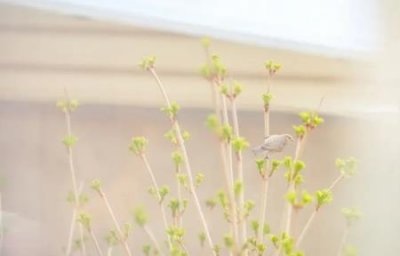 ​是哪位？害了毕福剑毕福剑怎么了