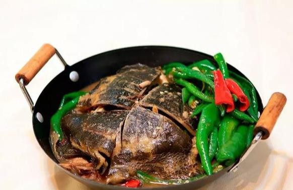 甲鱼吃什么食物为主呢（甲鱼是一道不错的食补）(7)