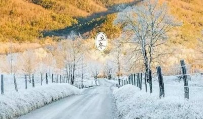 ​甲鱼吃什么食物为主呢（甲鱼是一道不错的食补）