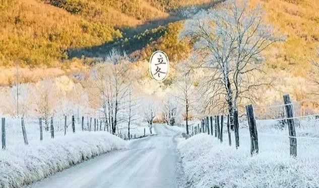 甲鱼吃什么食物为主呢（甲鱼是一道不错的食补）(1)