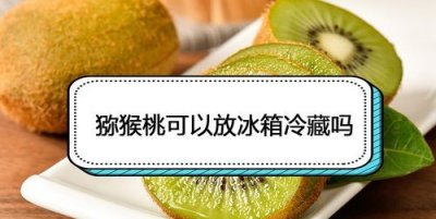 ​猕猴桃要放冰箱吗,猕猴桃可以放在冰箱保鲜