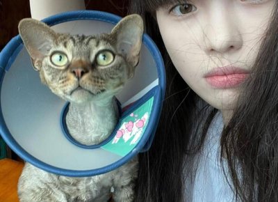 ​有错不承认倒打一耙人心理的成语