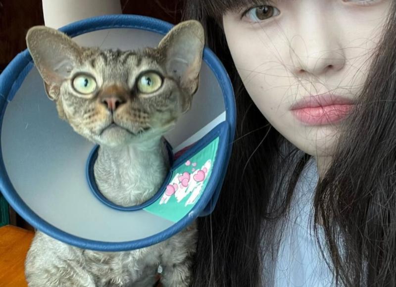 有错不承认倒打一耙人心理的成语