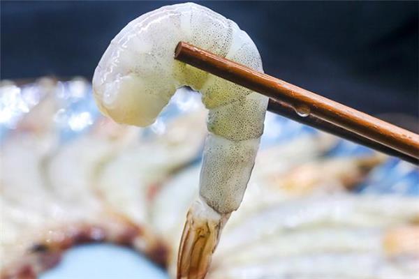 白虾是什么虾 白虾和青虾的区别