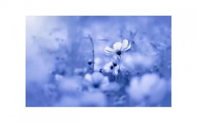 ​不吵架的女朋友是什么体验