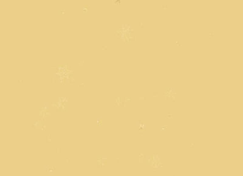 小三有了孩子最好的处理方法（但小三生了孩子怎么办）