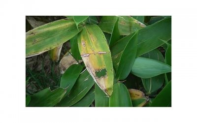 ​张雨生去世现场