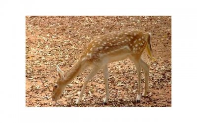 ​和男朋友吵架怎么道歉，用这几招向男友道歉让他更爱你