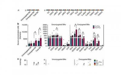 ​O型血金牛座人的性格特点和职业倾向