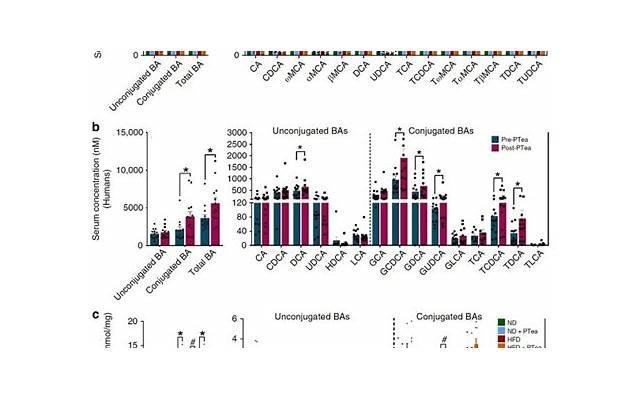 O型血金牛座人的性格特点和职业倾向