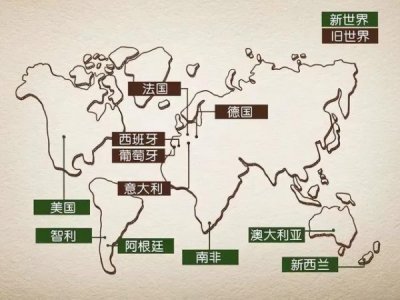 ​葡萄酒起源哪个国家(葡萄酒历史起源)