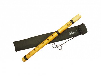 ​神秘的印第安长笛-南美盖那笛的历史和传说