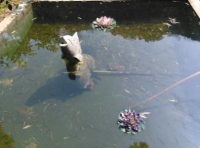 ​香港美食攻略