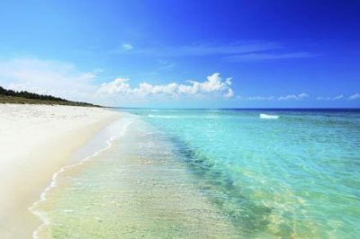 ​世纪森林公园，上海世纪公园现在开放吗？