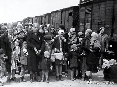 罕见照片，集中营内凄惨的女囚，骨瘦嶙峋，遭受各种非人折磨