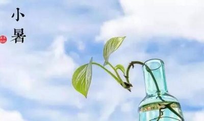 小暑骨气的含意是什么,盛夏的启始(每年的7月6-8日)