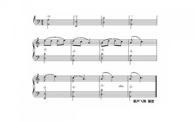 ​学习扎各种发型