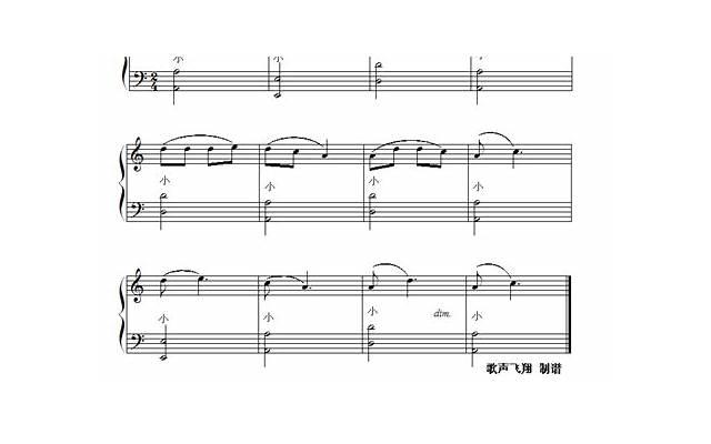 学习扎各种发型