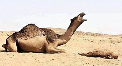 ​20张让人超级感动的图片，人间真实直戳人心，让人眼泪潸然而下！