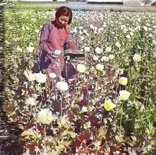 内蒙古老照片：1937年7月拍摄的归绥城、磴口和五原