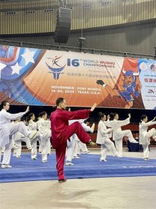 ​中国首位太极拳世锦赛冠军陈思坦：探索武术之道 传承武术之魂