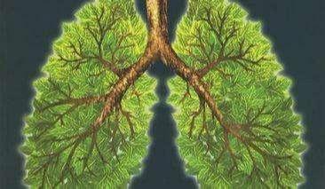 肺结核还分阴性和阳性?哪个更严重?