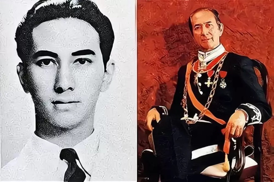 香港枭雄片有哪些好看的（香港电影十大系列之枭雄传记片）